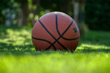 Basketball in grass